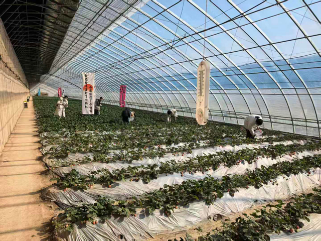 698aece4a327c.jpg 698aece4a327c.jpg